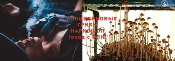 твердый Осинники