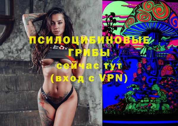 мяу мяу мука Осташков