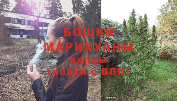 твердый Осинники