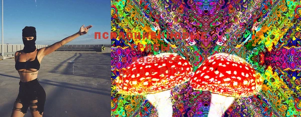 марки lsd Пересвет