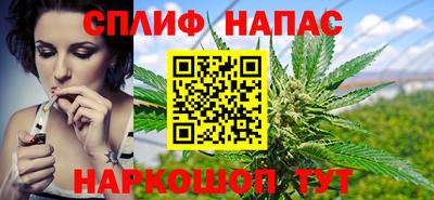 стафф Дубна