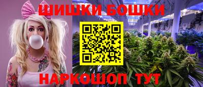 стафф Дубна
