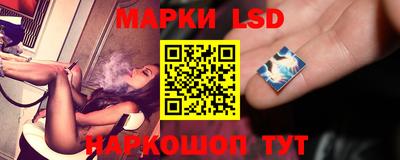 стафф Дубна