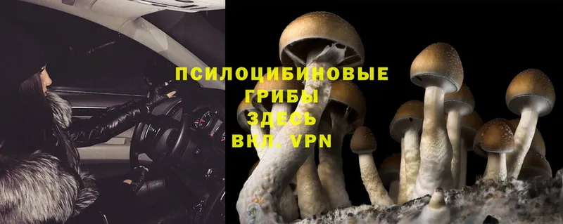Псилоцибиновые грибы MAGIC MUSHROOMS  Симферополь 