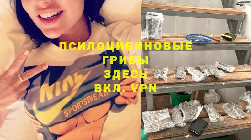 Псилоцибиновые грибы Psilocybine cubensis Симферополь